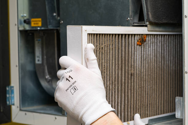 Best Ductwork Cleaning Services  in Gila Bend, AZ